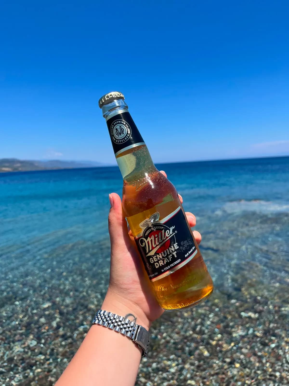 MİLLER 33CL