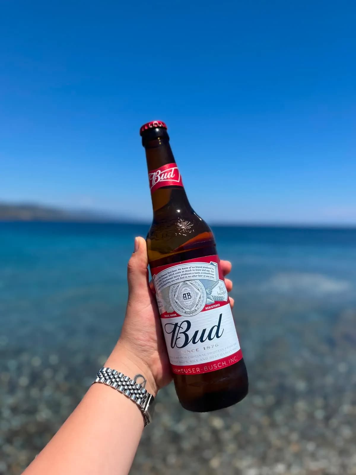 BUD 50 CL