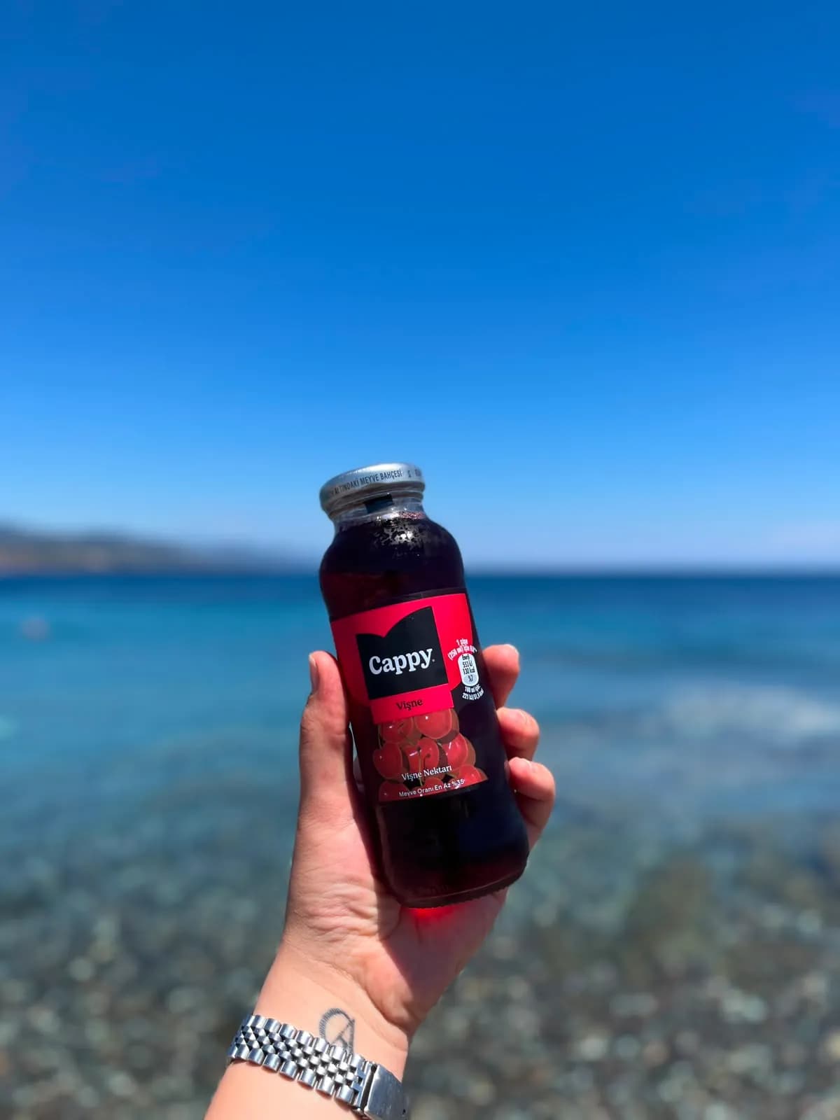 CAPPY VİŞNE 330ML