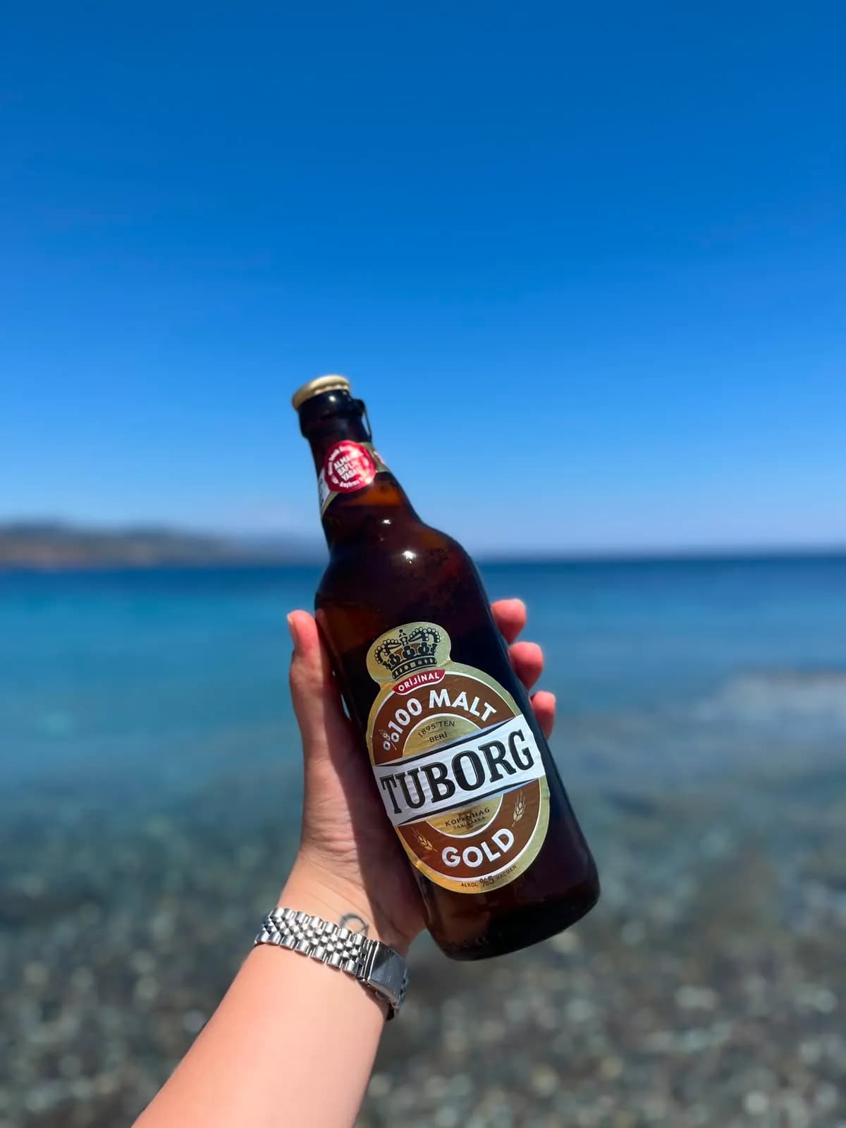 TUBORG ŞİŞE 50CL