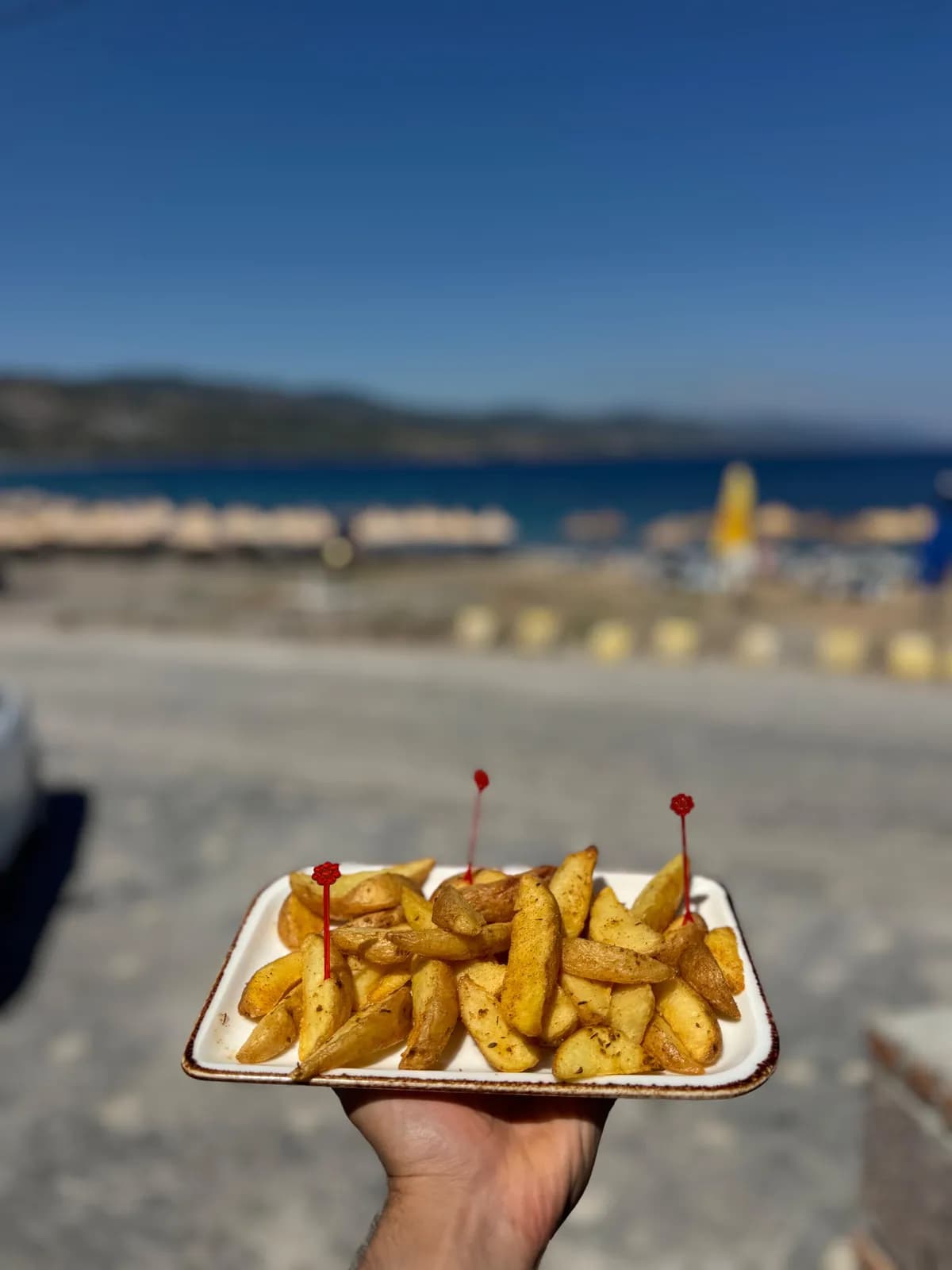 ELMA DİLİM PATATES