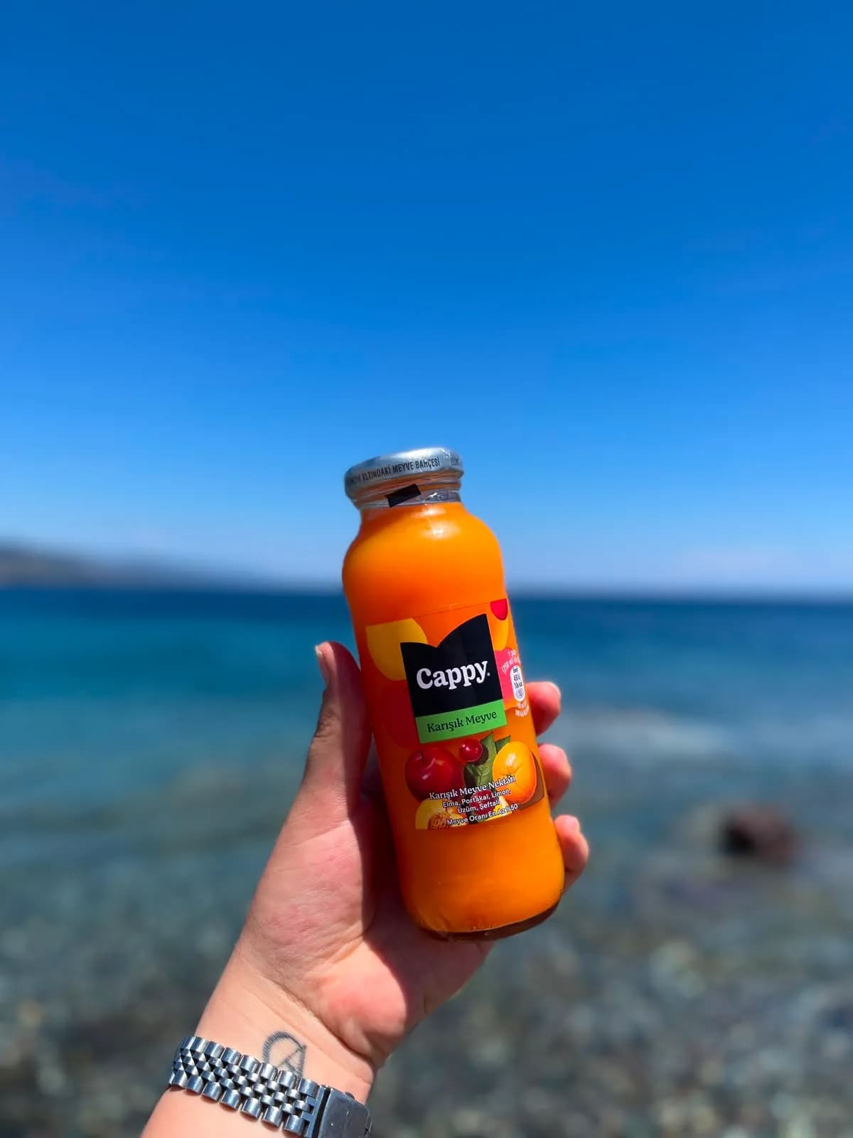 CAPPY KARIŞIK 330ML
