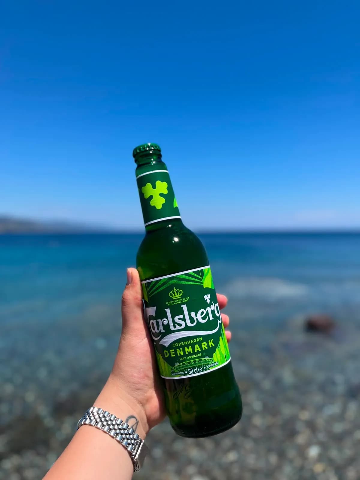 CARLSBERG 50CL