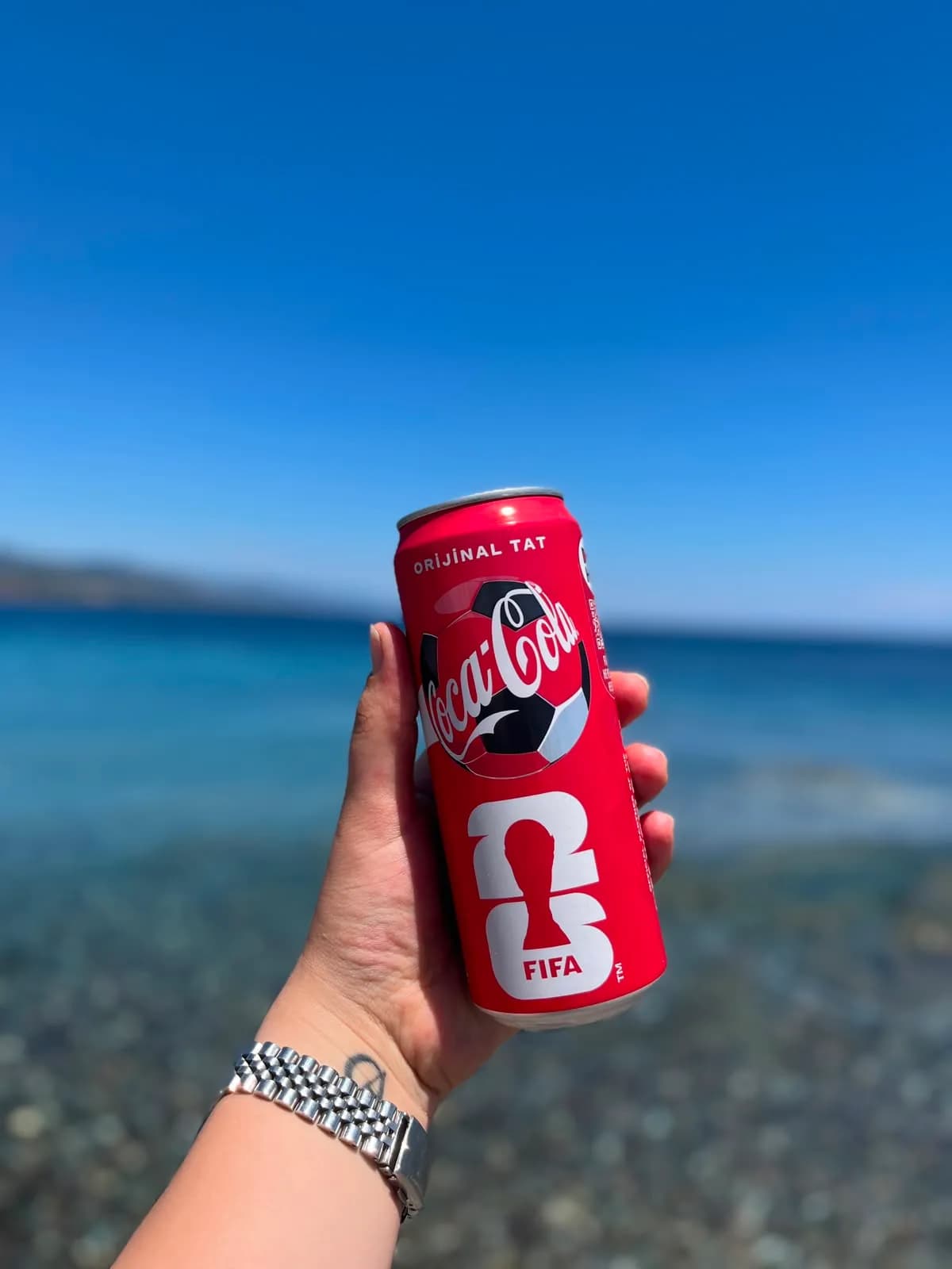 COCA COLA 330ML