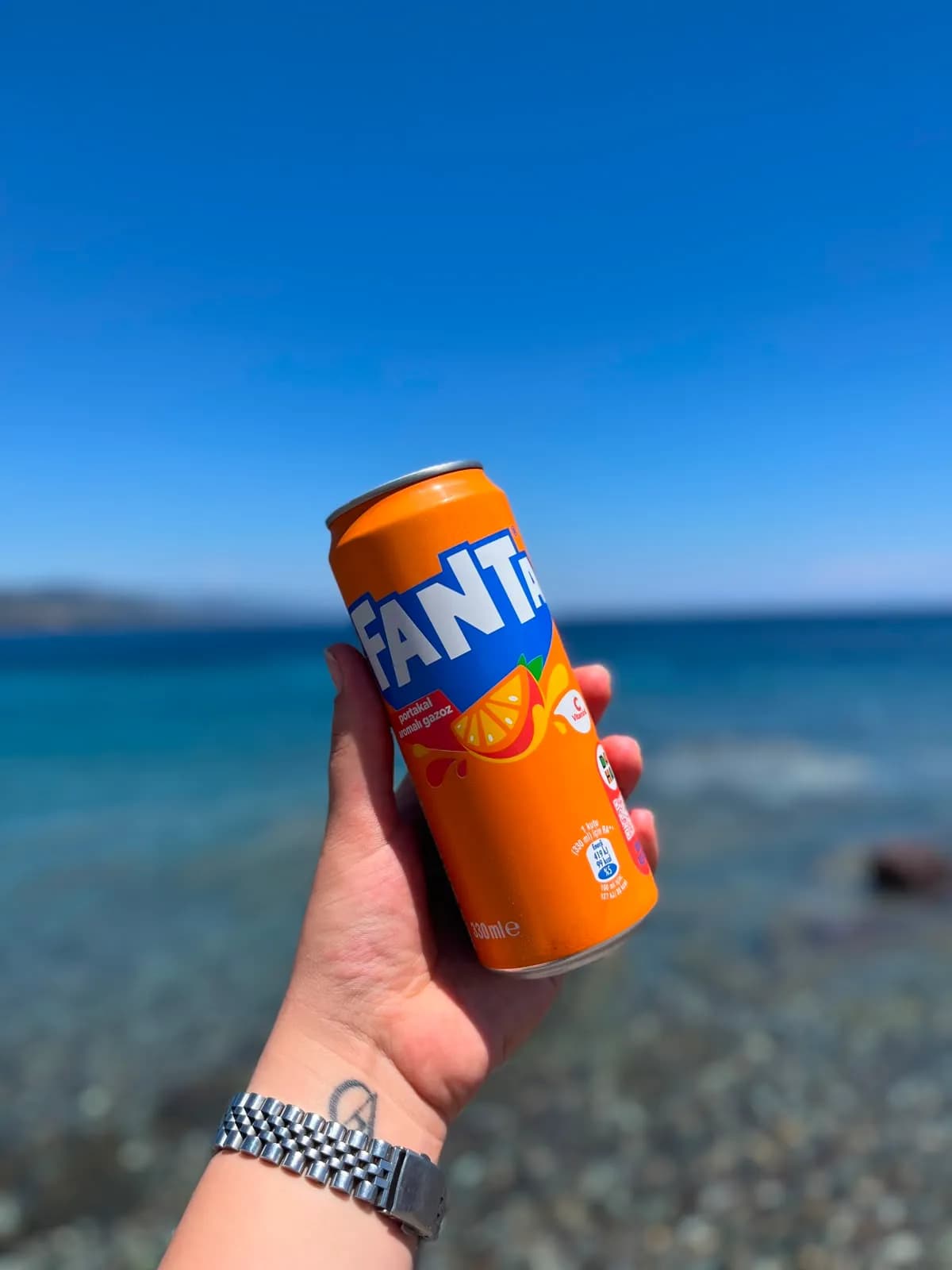 FANTA 330ML